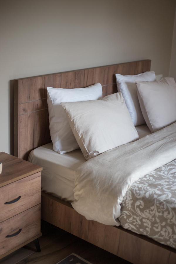 Appartamento Μελίτη Pelion Luxury Living Zagora Esterno foto